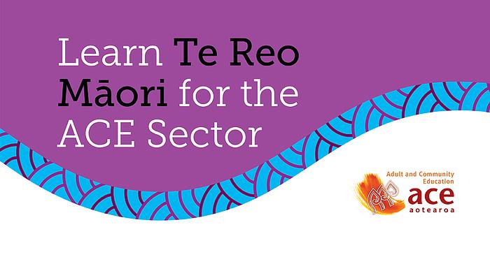 Learn Te Reo Māori for the ACE Sector- E Hia/Tokohia/Kia Hia: Deepen Your Reo-Māori Use logo